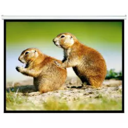 Brateck BT-PSBC100, Manual Projector Screen 2.0 x 1.5m (4:3 ratio) Self locking, 160° Wide viewing angle available, Ideal for education, commercial pr Brateck BT-PSBC100, Manual Projector Screen 2.0 x 1.5m (4:3 ratio) Self locking, 160° Wide viewing angle available, Ideal for education, commercial pr