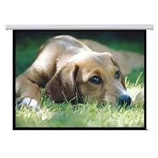 Brateck BT-PSAA135, Electric Projector Screen 3.0 x 1.68m (16:9 ratio), 160° Wide viewing angle available, Matte white screen material, Ideal for educ Brateck BT-PSAA135, Electric Projector Screen 3.0 x 1.68m (16:9 ratio), 160° Wide viewing angle available, Matte white screen material, Ideal for educ