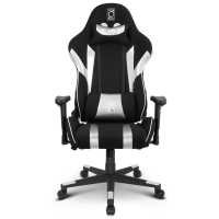 ZQRacing Gamer Series Gaming Office Chair-Silver/Black, 2 Years Warranty
