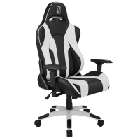 ZQRacing HS08_BLACK-WHITE, Hyper Sport Series Gaming Office Chair-Black/White, 2 Years Warranty