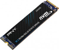 PNY M280CS1031-256-CL, CS1031, 256GB, M.2, Read Speed: 1700Mb/s, Write Speed: 1500Mb/s